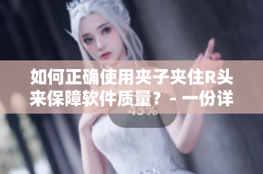 如何正确使用夹子夹住R头来保障软件质量？- 一份详实指南