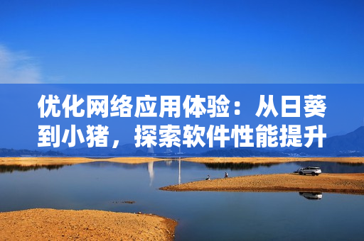 优化网络应用体验：从日葵到小猪，探索软件性能提升之路