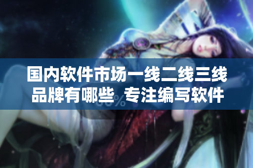 国内软件市场一线二线三线品牌有哪些  专注编写软件相关文章