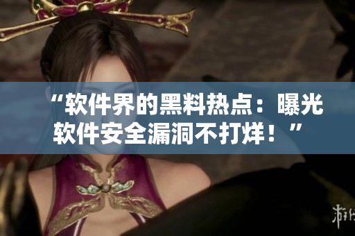 “软件界的黑料热点：曝光软件安全漏洞不打烊！”