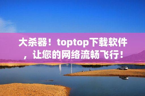 大杀器！toptop下载软件，让您的网络流畅飞行！