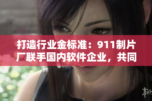打造行业金标准：911制片厂联手国内软件企业，共同打造网络软件新型态