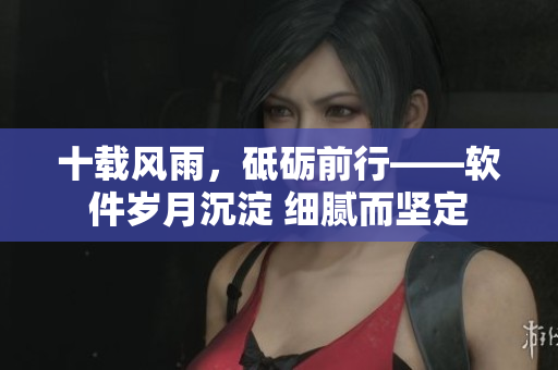 十载风雨，砥砺前行——软件岁月沉淀 细腻而坚定
