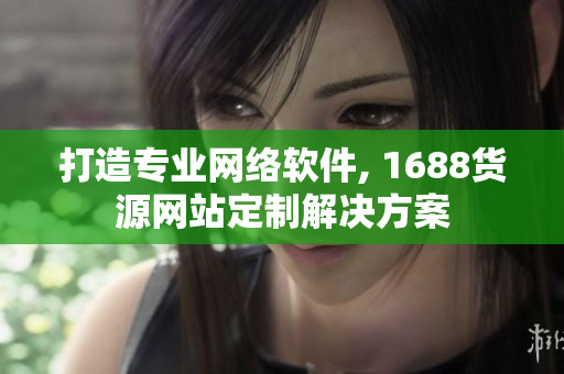 打造专业网络软件, 1688货源网站定制解决方案
