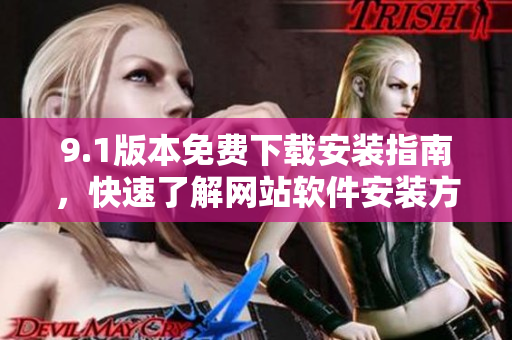 9.1版本免费下载安装指南，快速了解网站软件安装方式