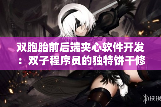 双胞胎前后端夹心软件开发：双子程序员的独特饼干修炼