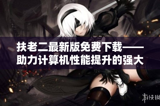 扶老二最新版免费下载——助力计算机性能提升的强大软件