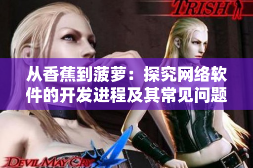 从香蕉到菠萝：探究网络软件的开发进程及其常见问题