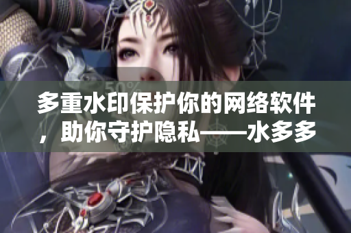 多重水印保护你的网络软件，助你守护隐私——水多多dili