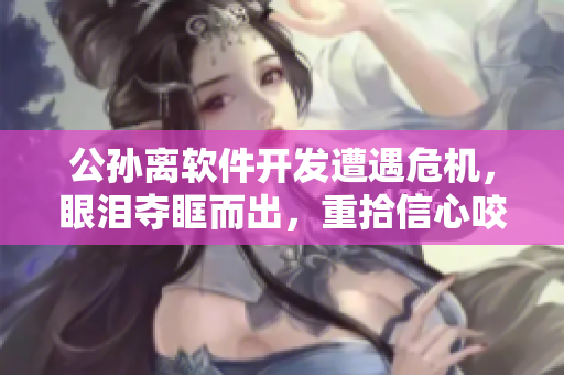 公孙离软件开发遭遇危机，眼泪夺眶而出，重拾信心咬定目标