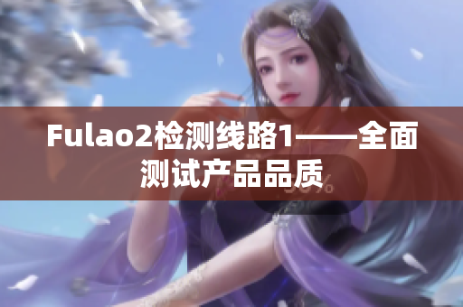 Fulao2检测线路1——全面测试产品品质