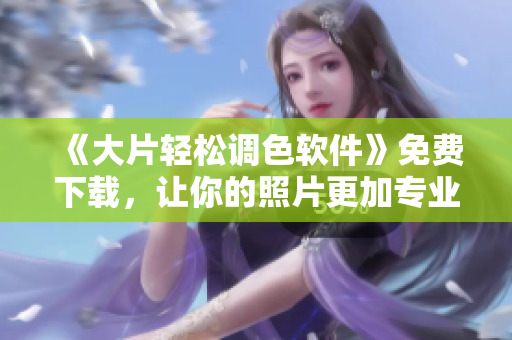 《大片轻松调色软件》免费下载，让你的照片更加专业！