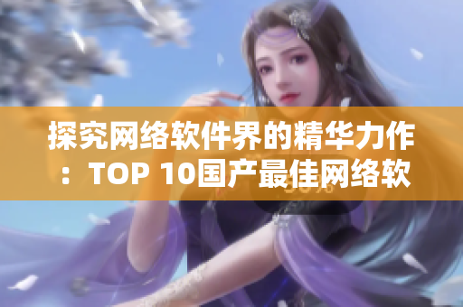 探究网络软件界的精华力作：TOP 10国产最佳网络软件产品
