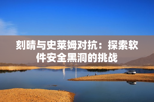 刻晴与史莱姆对抗：探索软件安全黑洞的挑战
