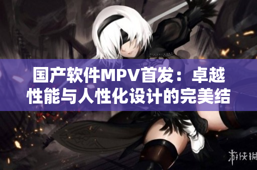国产软件MPV首发：卓越性能与人性化设计的完美结合