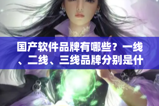 国产软件品牌有哪些？一线、二线、三线品牌分别是什么？