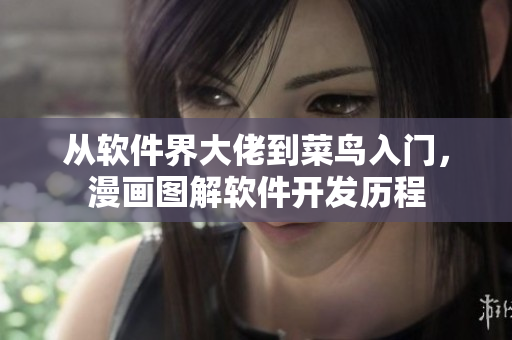 从软件界大佬到菜鸟入门，漫画图解软件开发历程