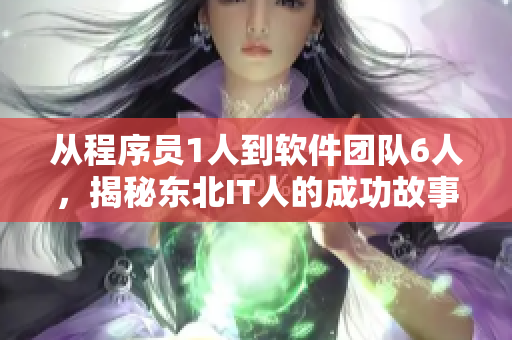 从程序员1人到软件团队6人，揭秘东北IT人的成功故事