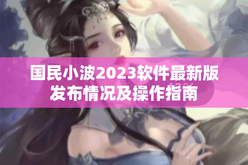 国民小波2023软件最新版发布情况及操作指南