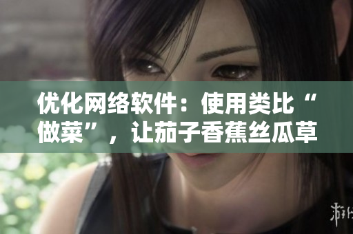 优化网络软件：使用类比“做菜”，让茄子香蕉丝瓜草莓南瓜向日葵重获新生