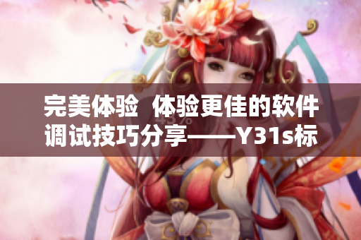 完美体验  体验更佳的软件调试技巧分享——Y31s标准版视频解析