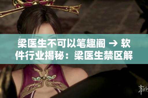 梁医生不可以笔趣阁 → 软件行业揭秘：梁医生禁区解读