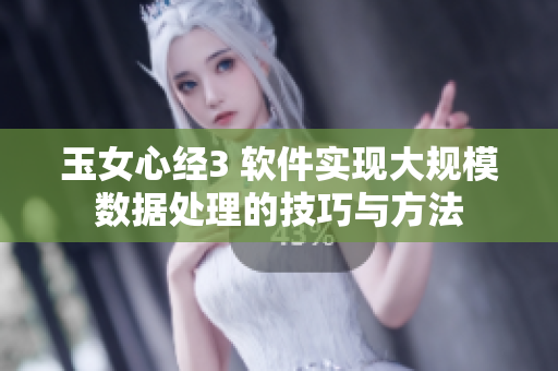玉女心经3 软件实现大规模数据处理的技巧与方法