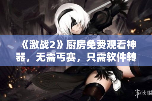 《激战2》厨房免费观看神器，无需丐赛，只需软件转换