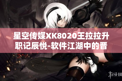 星空传媒XK8020王拉拉升职记辰悦-软件江湖中的晋升之路