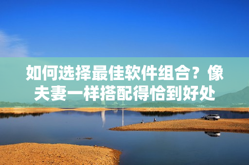 如何选择最佳软件组合？像夫妻一样搭配得恰到好处