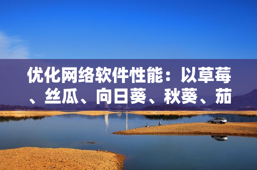 优化网络软件性能：以草莓、丝瓜、向日葵、秋葵、茄子为例的技巧与实践
