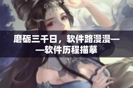 磨砺三千日，软件路漫漫——软件历程描摹