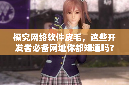 探究网络软件皮毛，这些开发者必备网址你都知道吗？