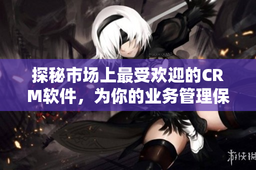 探秘市场上最受欢迎的CRM软件，为你的业务管理保驾护航！