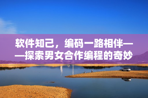 软件知己，编码一路相伴——探索男女合作编程的奇妙之旅
