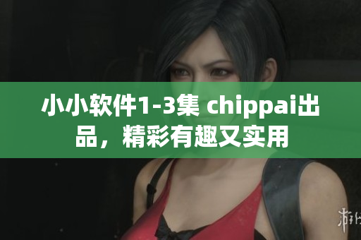 小小软件1-3集 chippai出品，精彩有趣又实用