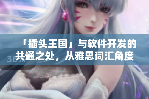 「插头王国」与软件开发的共通之处，从雅思词汇角度分析