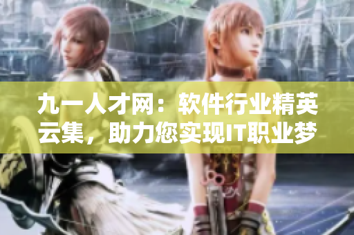 九一人才网：软件行业精英云集，助力您实现IT职业梦