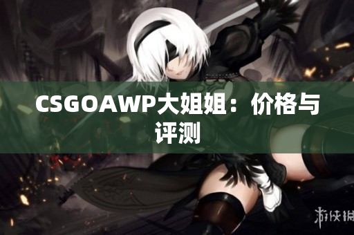 CSGOAWP大姐姐：价格与评测
