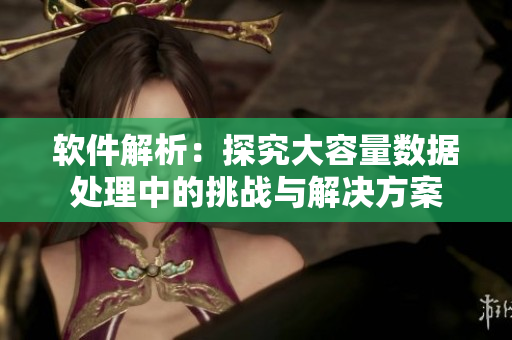 软件解析：探究大容量数据处理中的挑战与解决方案