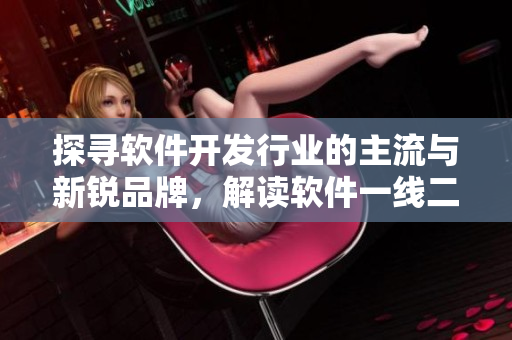 探寻软件开发行业的主流与新锐品牌，解读软件一线二线三线新格局