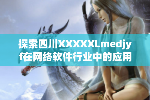 探索四川XXXXXLmedjyf在网络软件行业中的应用与挑战
