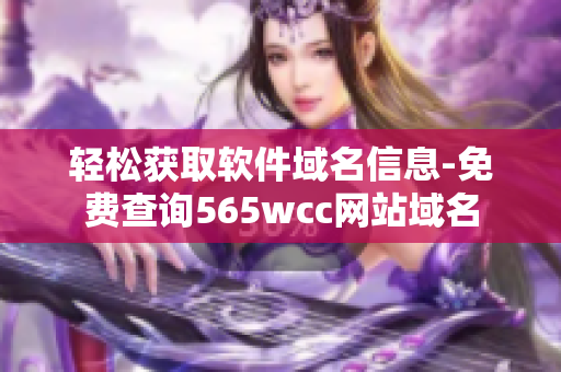 轻松获取软件域名信息-免费查询565wcc网站域名