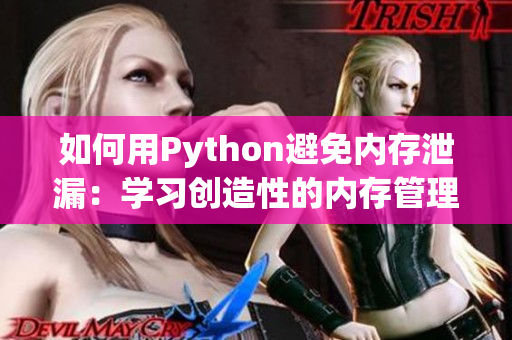 如何用Python避免内存泄漏：学习创造性的内存管理策略