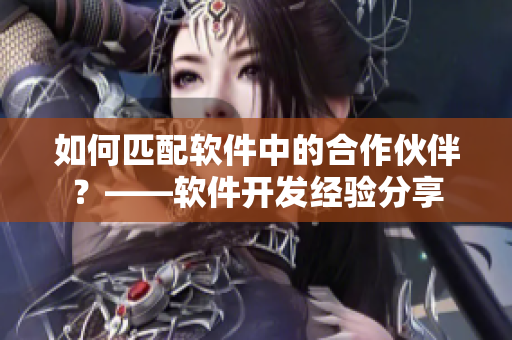 如何匹配软件中的合作伙伴？——软件开发经验分享