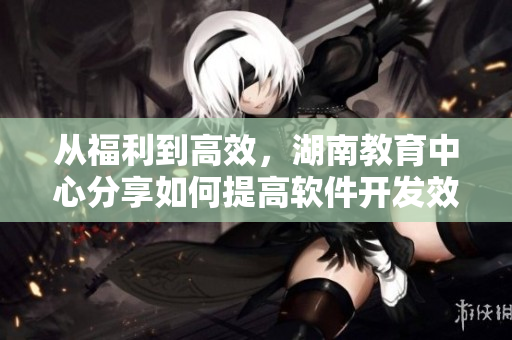 从福利到高效，湖南教育中心分享如何提高软件开发效率