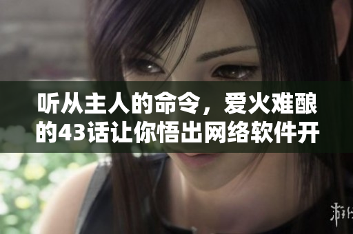 听从主人的命令，爱火难酿的43话让你悟出网络软件开发精髓