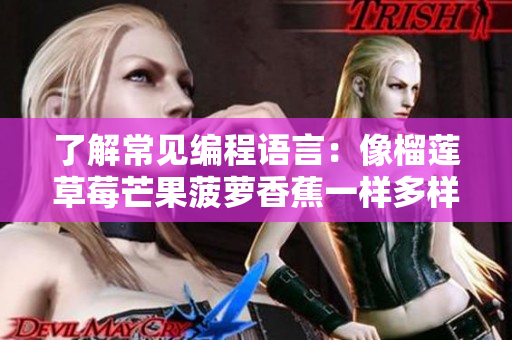 了解常见编程语言：像榴莲草莓芒果菠萝香蕉一样多样化的软件开发工具