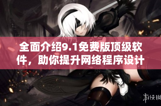 全面介绍9.1免费版顶级软件，助你提升网络程序设计技能！