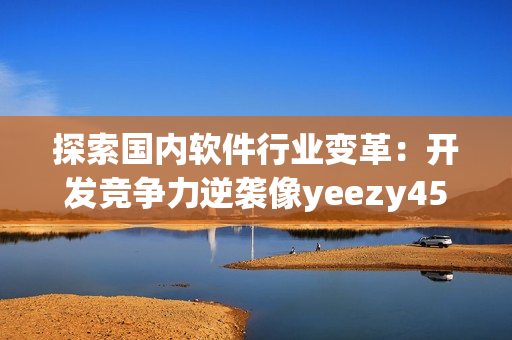 探索国内软件行业变革：开发竞争力逆袭像yeezy451